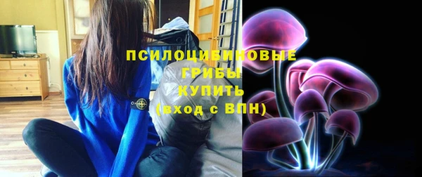 бутират Каменка